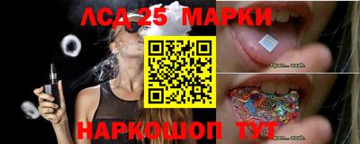сатива Сланцы