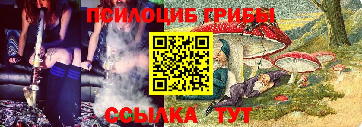 Галлюциногенные грибы Cubensis  Псилоцибиновые грибы GOLDEN TEACHER  Вход с VPN  Новотроицк 