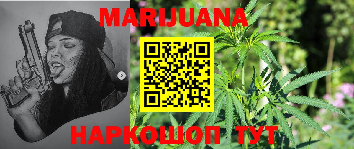 Каннабис план Новотроицк